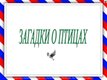 Презентация по окружающему мир Птицы