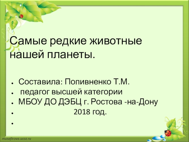 Самые редкие животные нашей планеты.