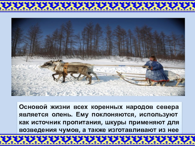 Презентация по изготовлению куклы Клюквинки Основой жизни всех коренных народов севера является олень. Ему поклоняются, используют Основой жизни всех коренных народов севера является олень. Ему поклоняются, используют как источник пропитания, шкуры применяют для