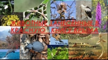 Животные занесенные в Красную книгу Крыма