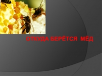 Презентация по окружающему миру История возникновения меда