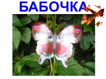 Презентация Бабочка из пластиковой бутылки