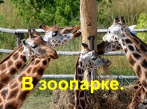 Презентация урока на тему В зоопарке