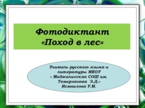 Презентация к уроку русского языка  Фотодиктант  Поход в лесу.