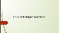 Презентация по технологии Подснежник