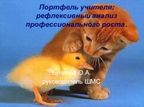Презентация к выступлению на семинаре на тему: Портфель учителя: рефлексивный анализ профессионального роста