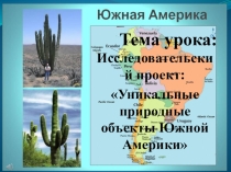 Презентация по географии на тему Водопады Игуасу (7 класс)