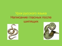 Презентация по русскому языку на тему Написание слов с сочетаниями жи- ши, ча- ща 2 класс