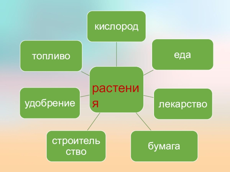 Презентация по биологии на тему Значение растений растения растения