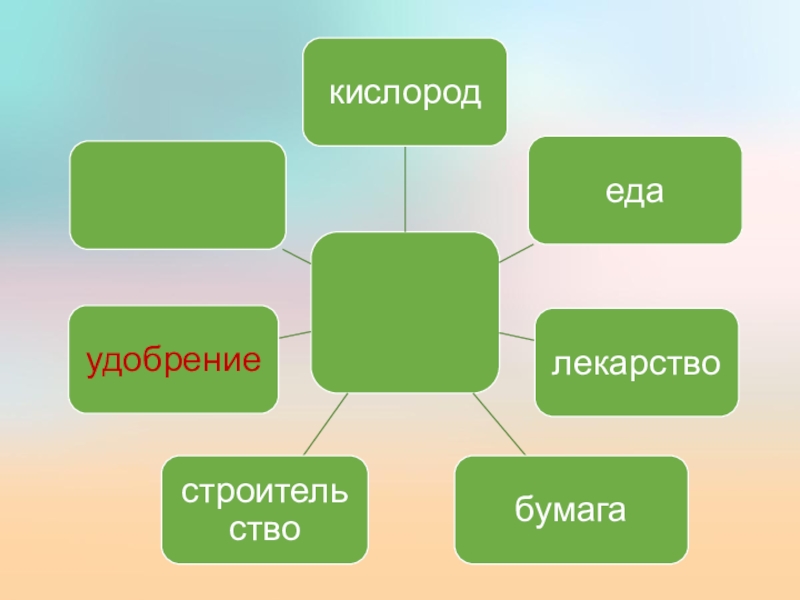 Презентация по биологии на тему Значение растений