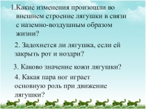Презентация по биологии Внутреннее строение земноводных