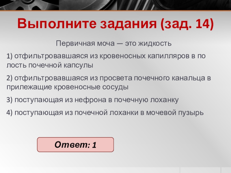 Выполните задания (зад. 14)Пер­вич­ная моча — это жид­кость 1) от­филь­тро­вав­ша­я­ся из кро­ве­нос­ных ка­пил­ля­ров в по­лость по­чеч­ной кап­су­лы2) от­филь­тро­вав­ша­я­ся