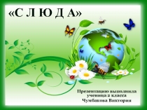 Презентация по окр. миру 2 класс Слюды