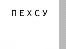 Презентация урока по русскому языку на темуНеизменяемые слова2 кл