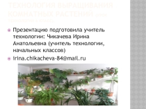 Презентация по технологии на тему Технология выращивания комнатных растений