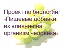 Презентация проекта Пищевые добавки