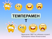 Презентация по педагогике на тему Темперамент