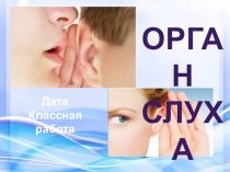 Презентация по биологии на тему Орган слуха