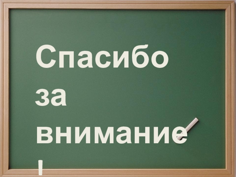 Обособление определений и приложений выполнила Фунтяева Анастасия 8 класс Спасибо за внимание! Спасибо за внимание!