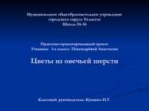 Презентация Практико-ориентированный проект по мокрому валянию