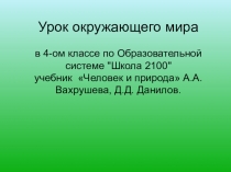 Презентация по теме :Наши предки - древесные жители
