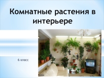 Презентация Комнатные растения технология 7 класс (девочки)