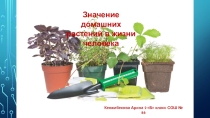 Презентация по познанию мира