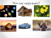 Презентация по биологии 5 класс на тему Вещества и явления в окружающем мире
