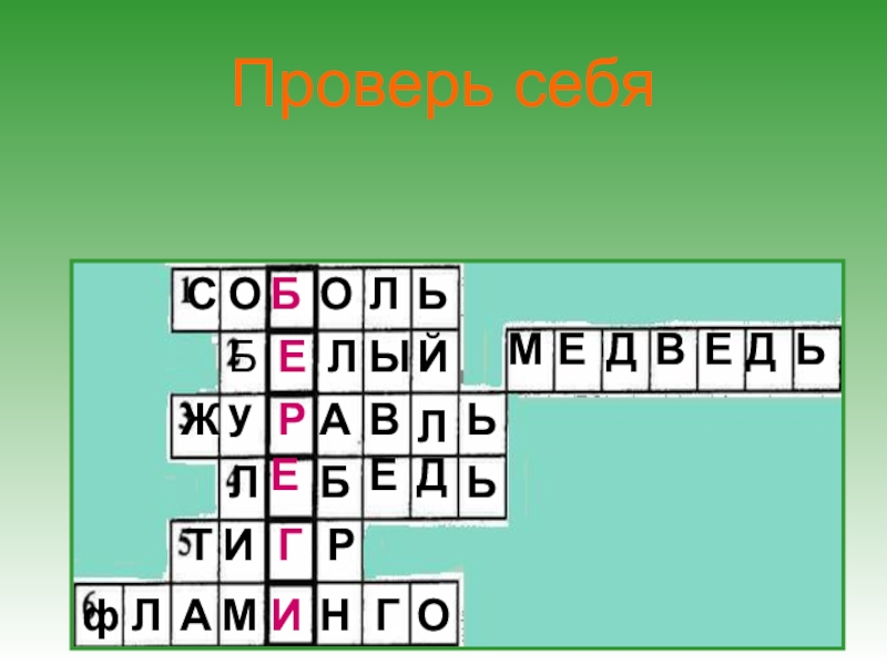 Презентация к уроку окружающего мира Охрана животных 3 класс. Проверь себяСОБОЛЬБЕЛЫЙМЕДВЕДЬЖуРАВЛЬТИГРфЛАМИНГОЛЕБЕДЬ Проверь себяСОБОЛЬБЕЛЫЙМЕДВЕДЬЖуРАВЛЬТИГРфЛАМИНГОЛЕБЕДЬ