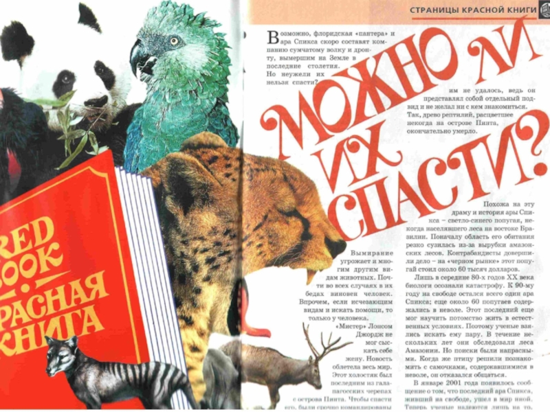 Презентация к уроку окружающего мира Охрана животных 3 класс.