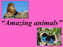 Презентация к уроку по теме: Удивительные животные.
