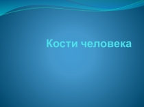 Презентация по биологии на тему  Кости человека