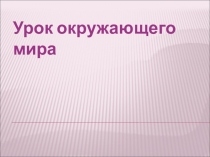 Презентация к уроку Наша дружная семья