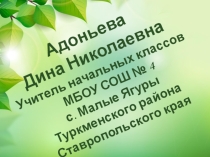 Презентация программы по экологическому воспитанию младших школьников.