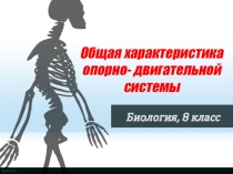 Презентация по биологии Общая характеристика опорно-двигательной системы,8 класс