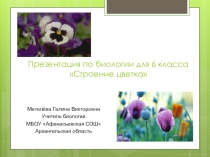 Презентация по биологии на тему Строение цветка (6 класс)