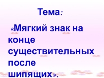 Презентация к уроку русского языка по теме Мягкий знак на конце существительных после шипящих.