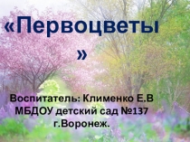 Презентация .Познавательное развитие Первоцвет