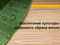 Презентация к проекту Мы за здоровый образ жизни