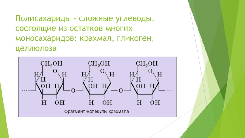 Крахмал состоит из остатков. Сложные углеводы полисахариды. Крахмал гликоген Целлюлоза. Полисахариды из моносахаридов. Углеводы состоящие из остатков двух моносахаридов называются.
