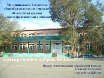 Мои достижения за 3 учебных года