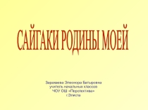 Презентация к экологической конференции Сайгаки родины моей