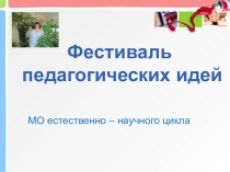 Фестиваль педагогических идей. Методическое объединение.