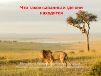 ПРЕЗЕНТАЦИЯ ПО ОКРУЖАЮЩЕМУ МИРУ САВАННЫ 3 КЛАСС