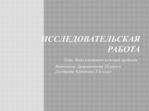 Исследовательская работа по теме Как вода может оживить неживой предмет