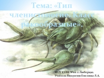 Тип членистоногие. Класс ракообразные. 7 класс