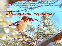 Презентация Покормите птиц зимой проект