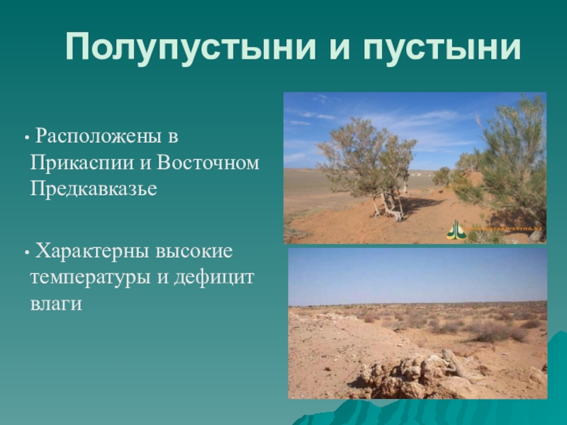 Особенности полупустынь в россии. Полупустыни и пустыни расположены. Пустынь и полупустынь в России. Зона пустынь и полупустынь в России. Растения полупустынь.