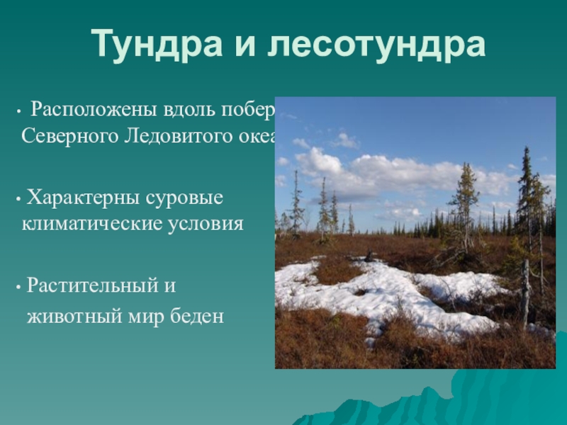 Природные условия тундры. Тундра и лесотундра. Лесотундра природная зона. Природные зоны тундры и лесотундры. Характеристика тундры и лесотундры.