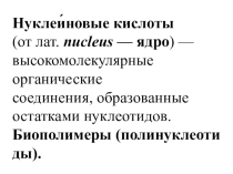 Презентация по химии Нуклеиновые кислоты
